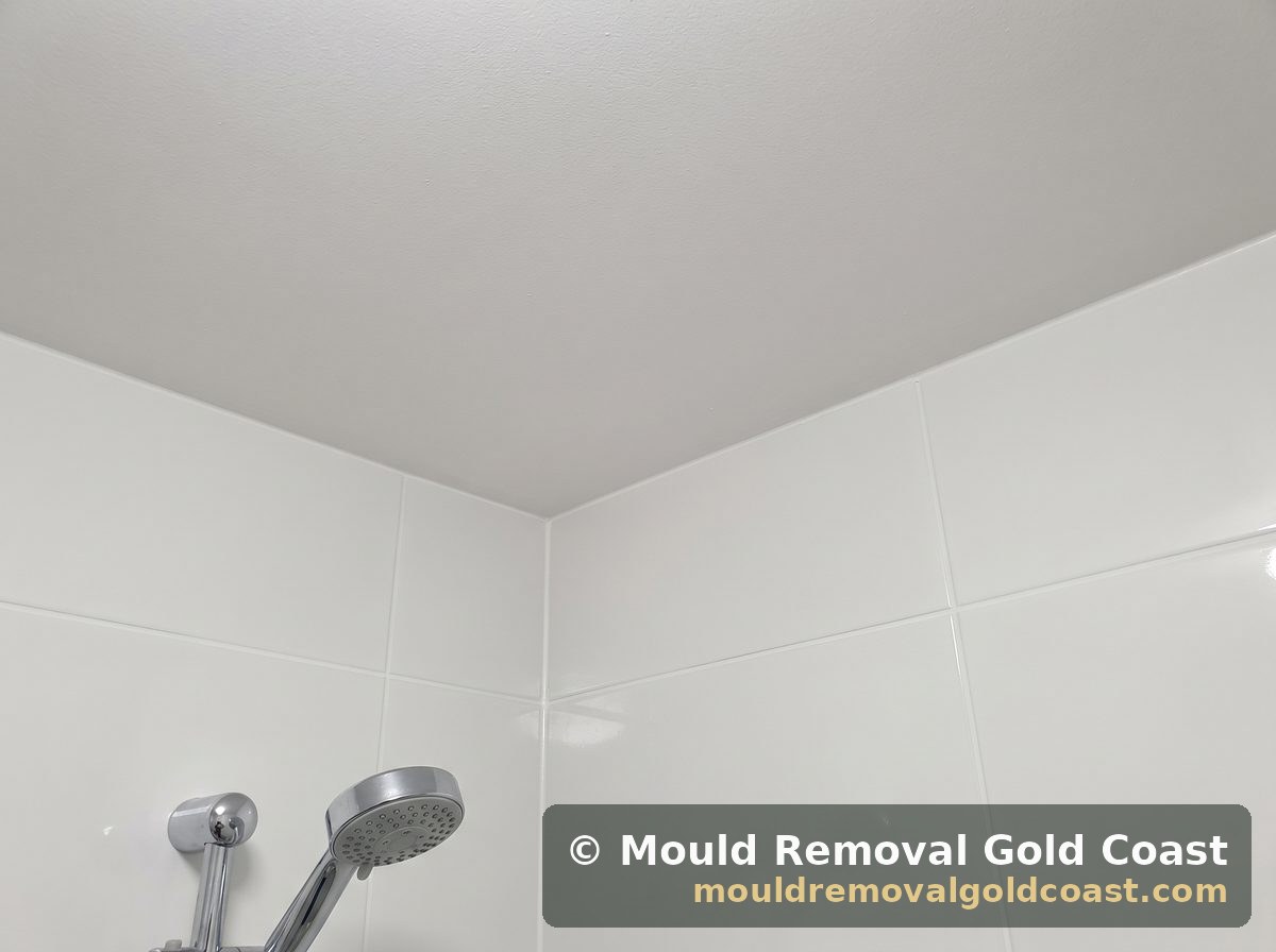 Bathroom Corner after treatment