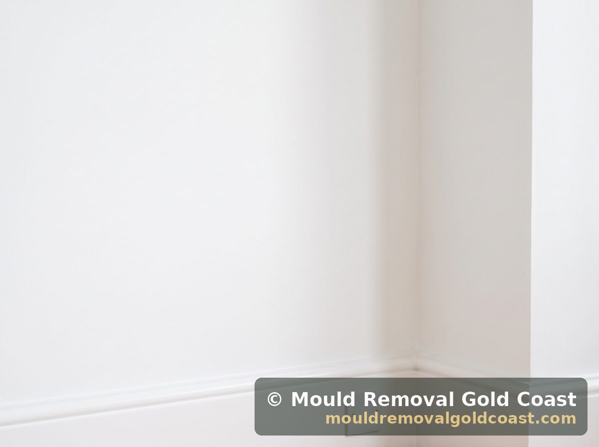 Living Room Wall after treatment